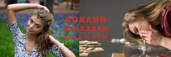 спиды Бородино