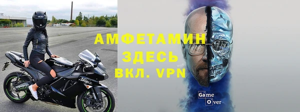 спиды Бородино