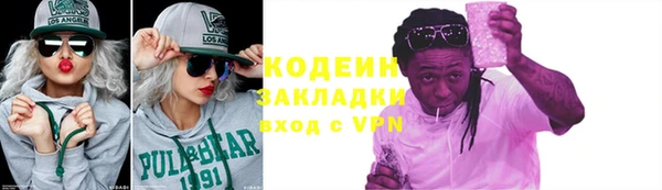 спиды Бородино