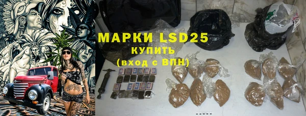 спиды Бородино