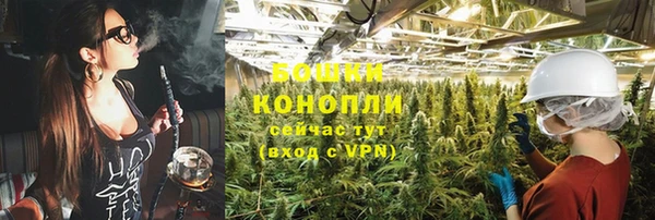спиды Бородино
