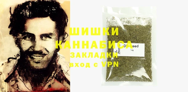 спиды Бородино