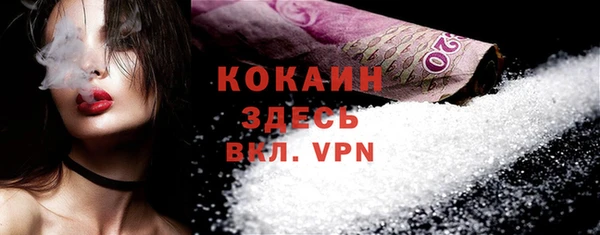 спиды Бородино